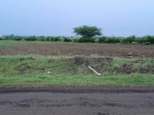 Agricultural Land in Pune