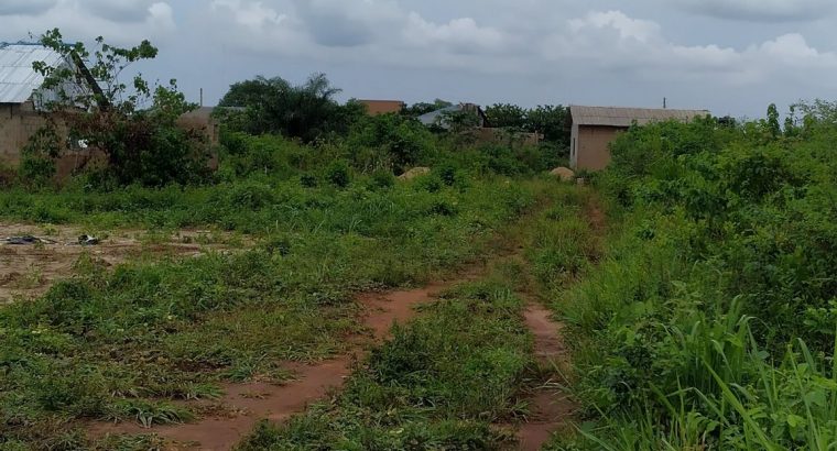 For Sale in
Festac Town

50 Acres of land At 7th Avenue Festac  Extension in Amuwo – Odofin