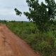 For Sale. For Sale

325acres of land with certificate of occupancy 
Location… Ibefun after Itoikin